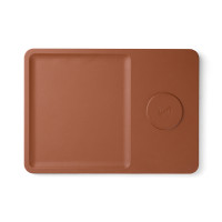 bruin (± PMS brown)