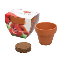 assorti