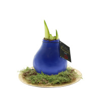 blauw