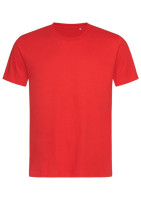 186C Scarlet Red