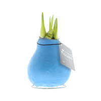 Pastel blauw