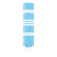 BLAUW LICHT