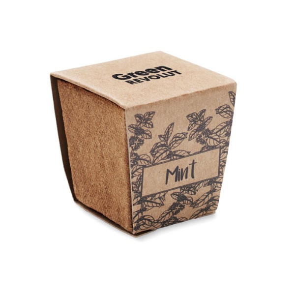 MINT KIT - Muntzaad kweekset