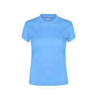 BLAUW LICHT