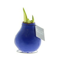 blauw