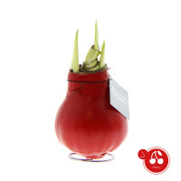 Cherry (rood)