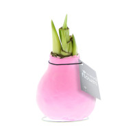 Pastel roze