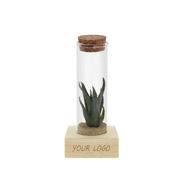 Tiny Treasurez® - Single tube & wood