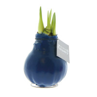 Donkerblauw