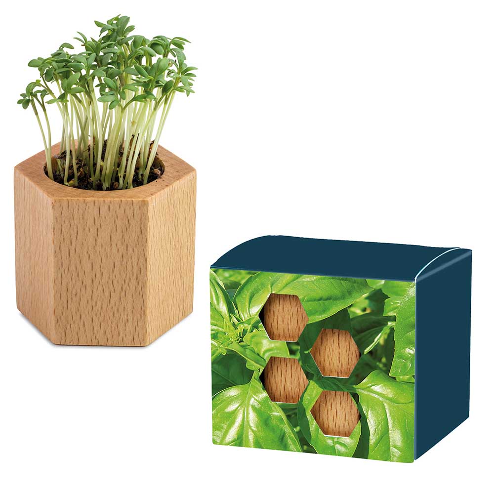 Houten plantenset Hexagon met zaden - Basilicum