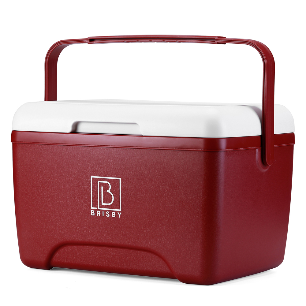 Brisby 8L Koelbox – Innovatief & Personaliseerbaar