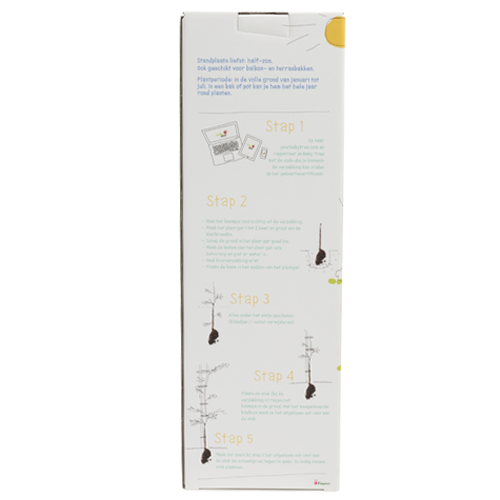 Baby Tree Fruitboompakket