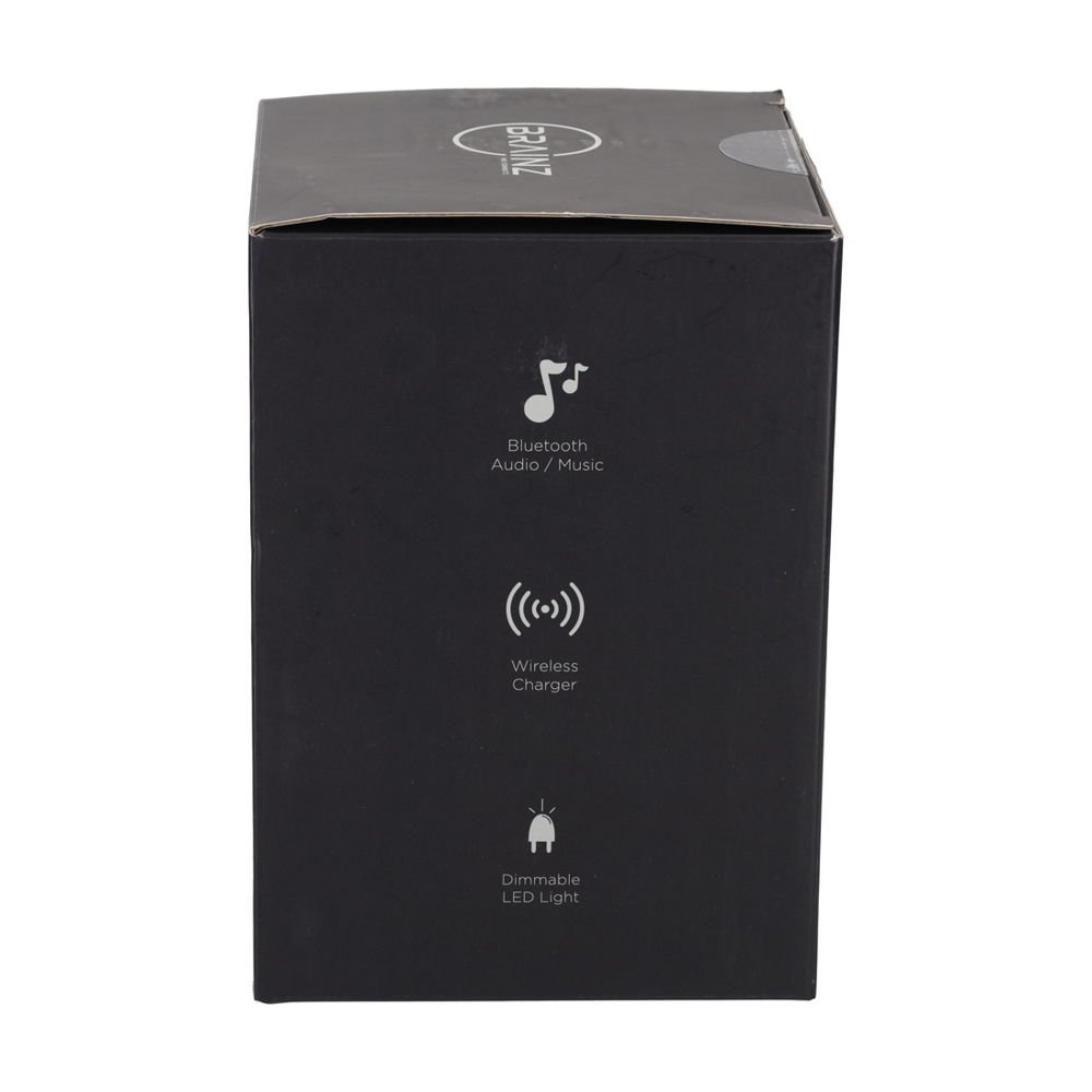 BRAINZ 5 in 1 Charging Speaker Zwart