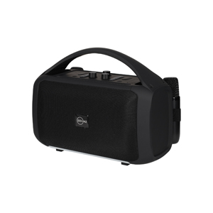 BRAINZ Karaoke Speaker XXL