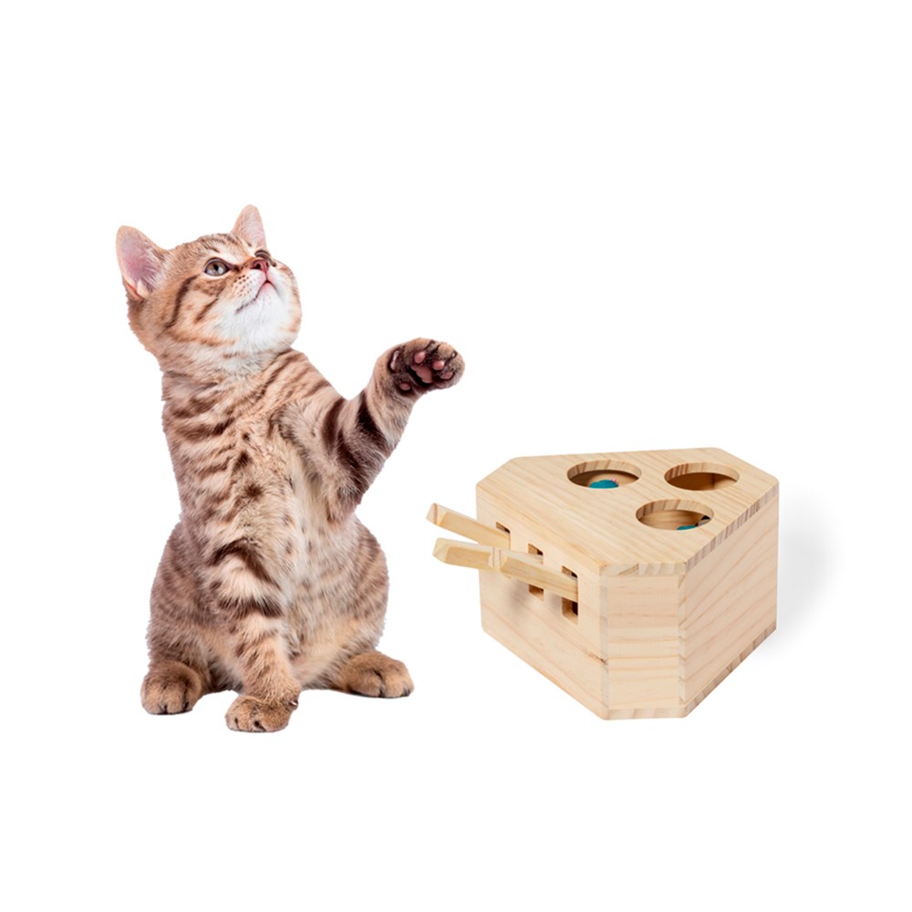 Spel voor Dieren Kesel