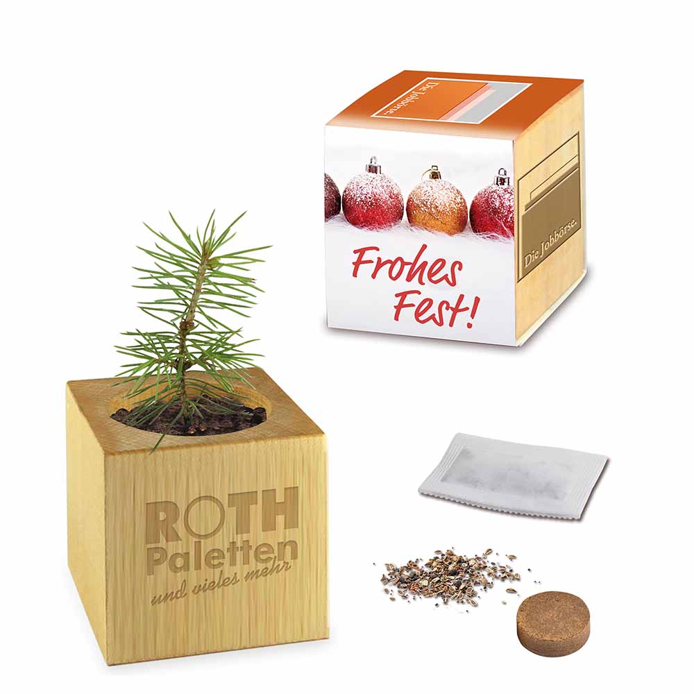 Houten plantenset kerstmis maxi