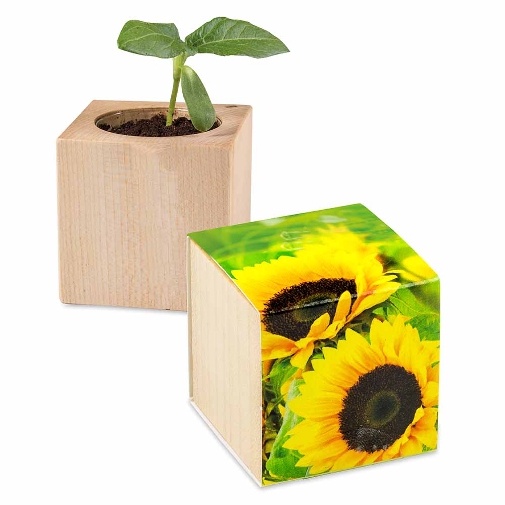 Houten kubus - standaard - Zonnebloemen - standaard