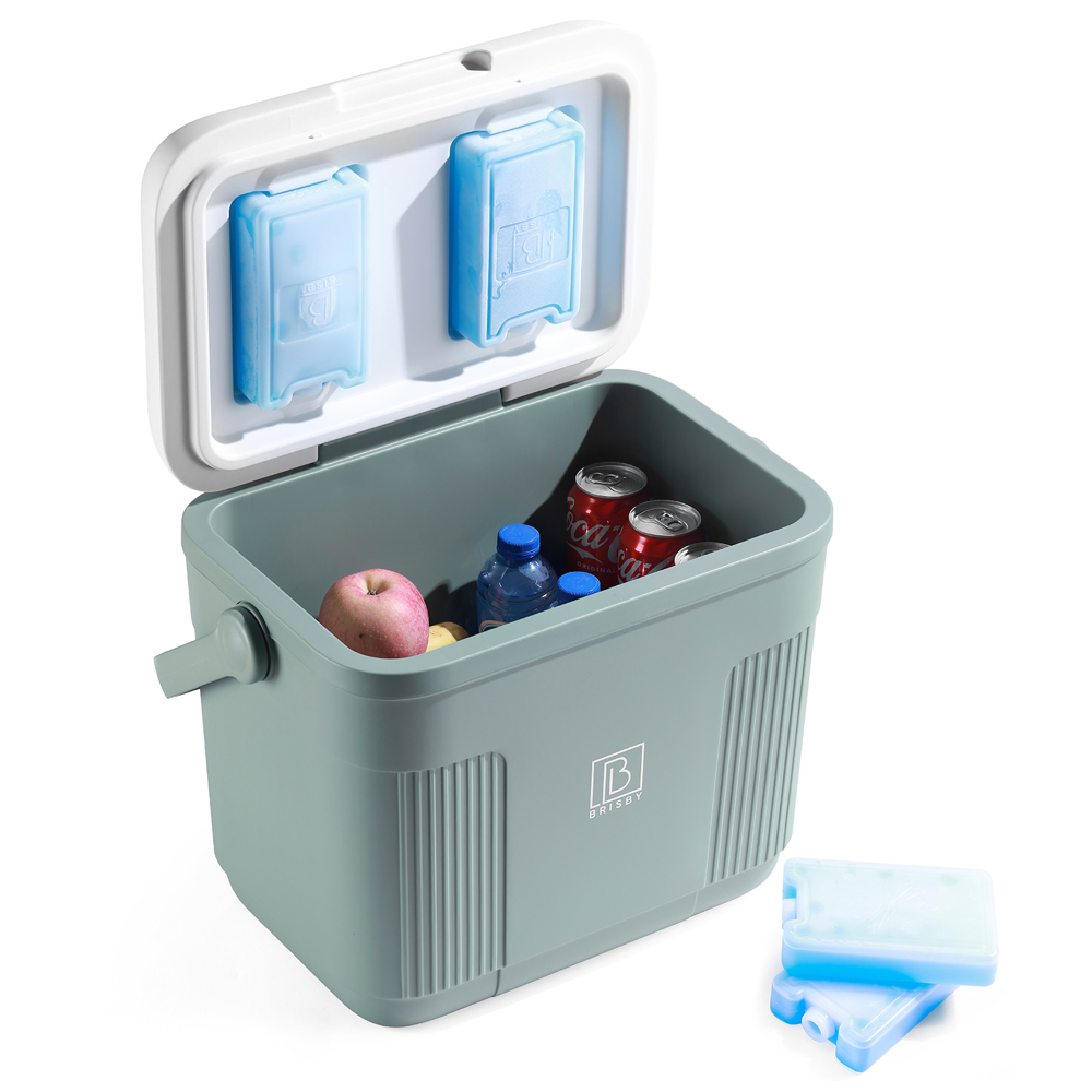 Koelbox 22L Brisby Uniek Persoonlijk en Cool - groen