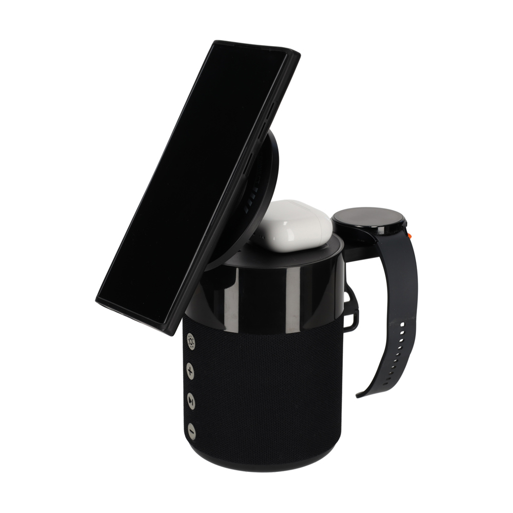 BRAINZ 5 in 1 Charging Speaker Zwart