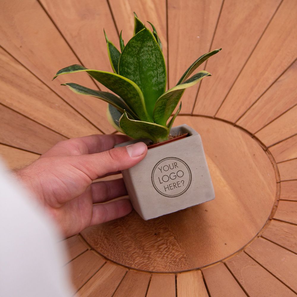 Congreet® plantpots small, Zonder verpakking