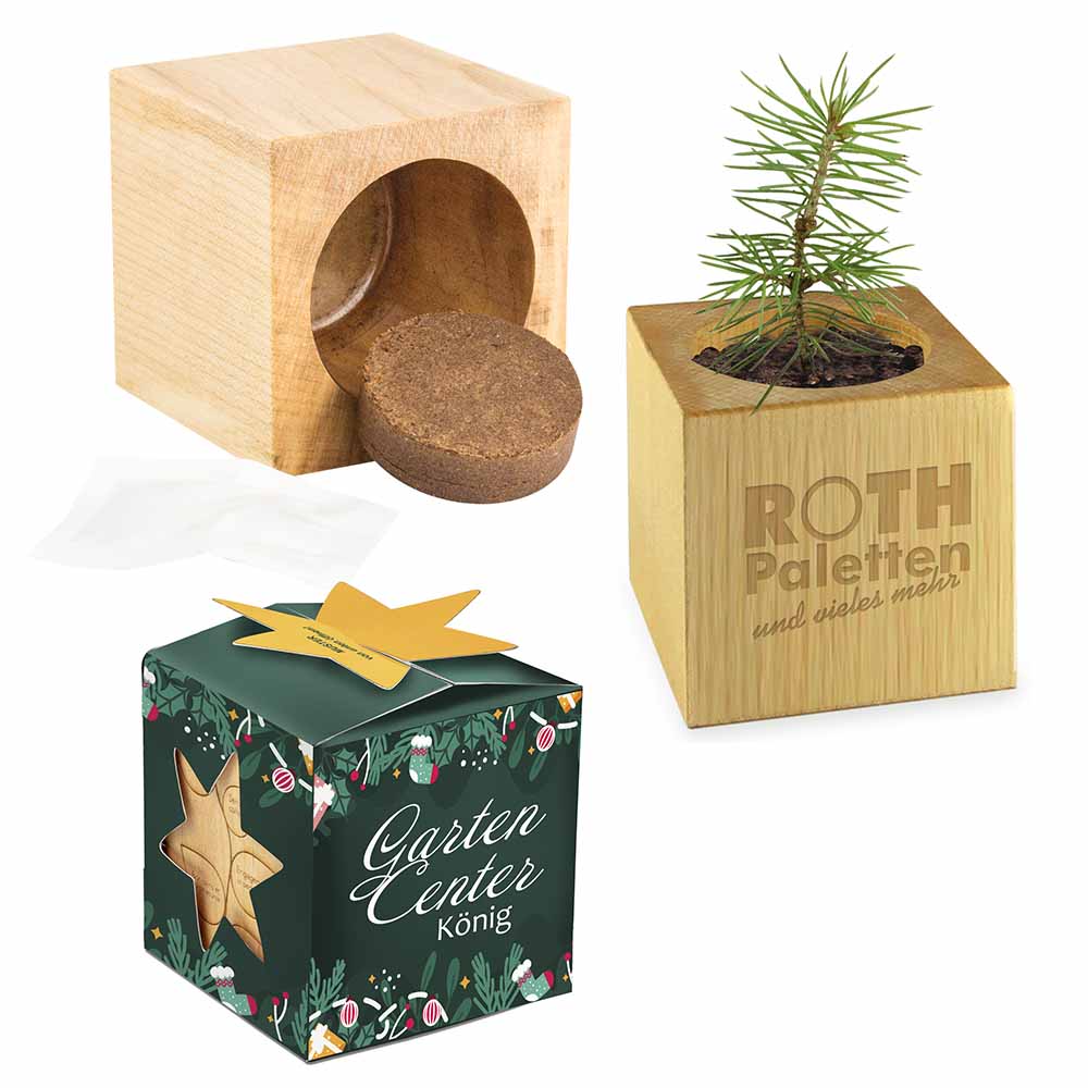 Houten pennenbakje star-box Xmas - individueel
