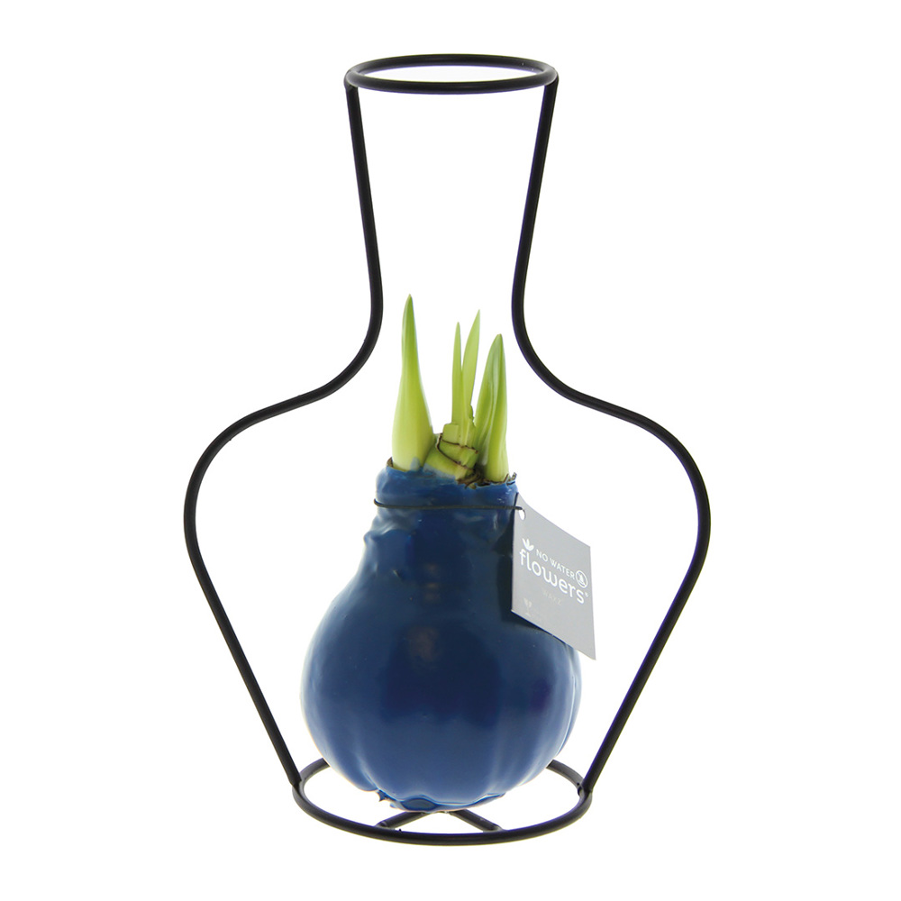 Donkerblauw