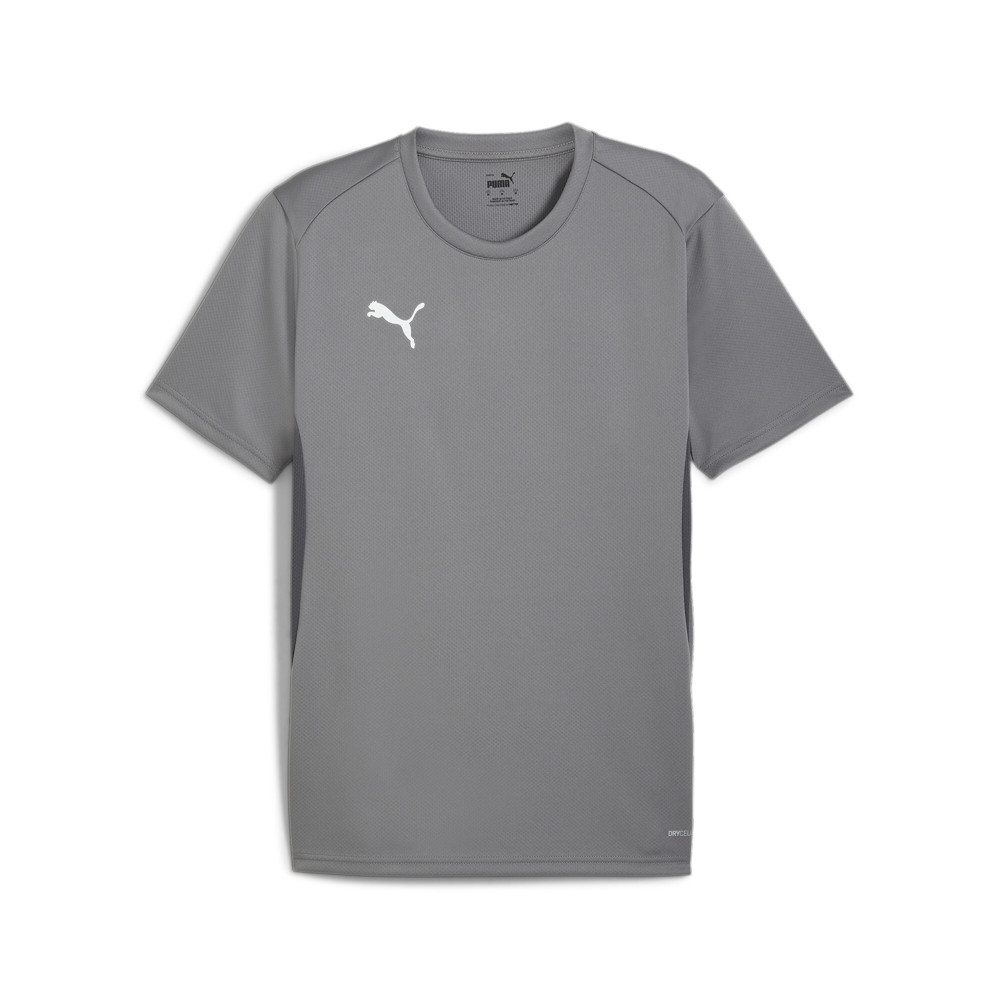 Puma Men's TeamGOAL Football Jersey