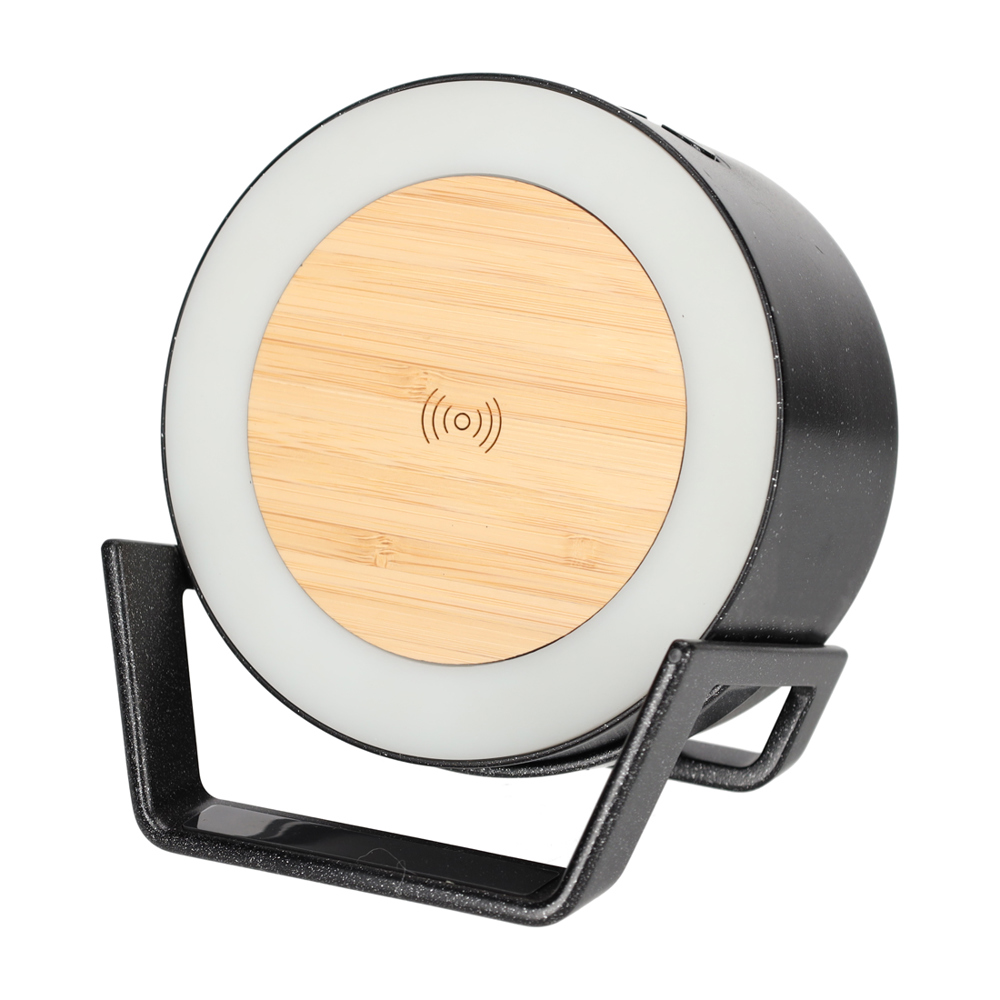 BRAINZ LED Charger Speaker Vic Wheatstraw