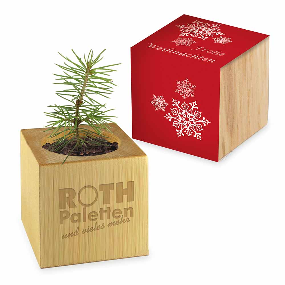 Houten plantenset Kerstmis - zonder lasergravure