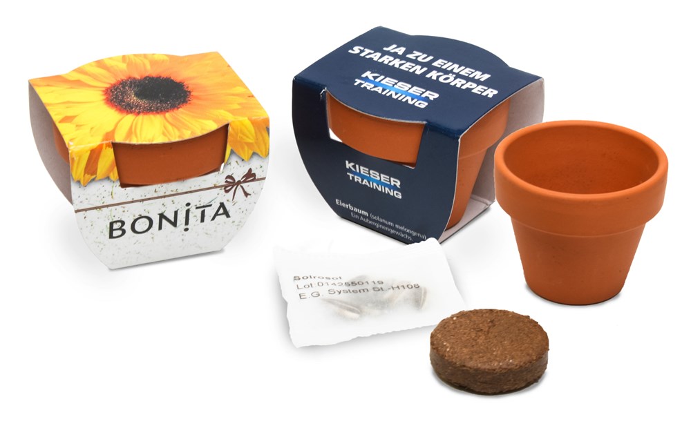 Terracotta pot klein, Zonnebloem