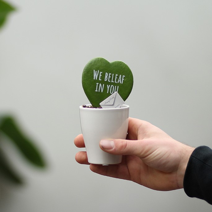 Message Printz® - Hartjesplant, Zonder verpakking