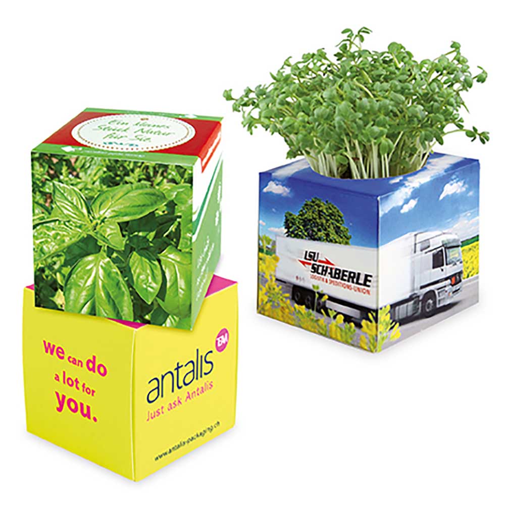 Plant-kubus 2.0 met zaden - Basilicum