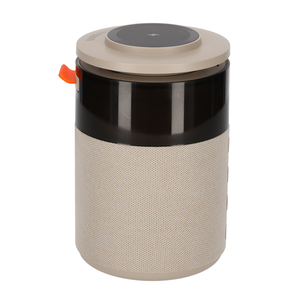 BRAINZ 5 in 1 Charging Speaker Taupe