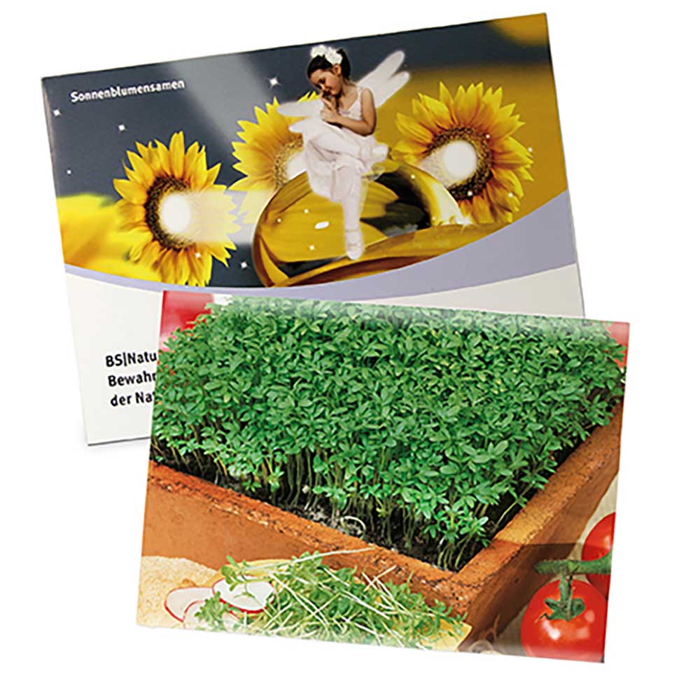 Zaadzakjes groot - Tuinkers