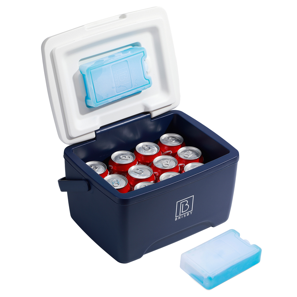 Koelbox 8L Brisby Uniek Persoonlijk en Cool - blauw