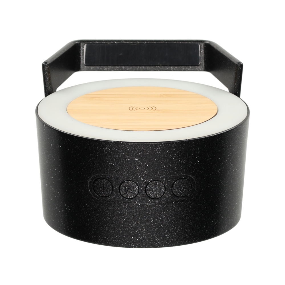 BRAINZ LED Charger Speaker Vic Wheatstraw Zwart
