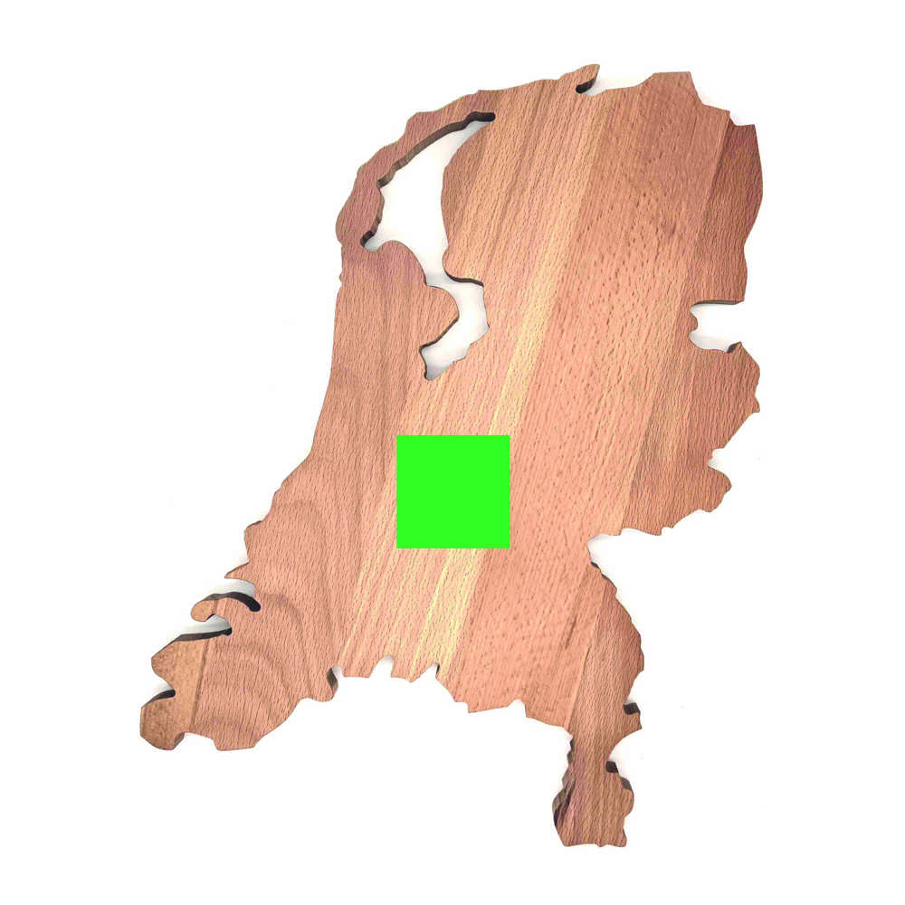 Plank Nederland beuken 35x30 cm