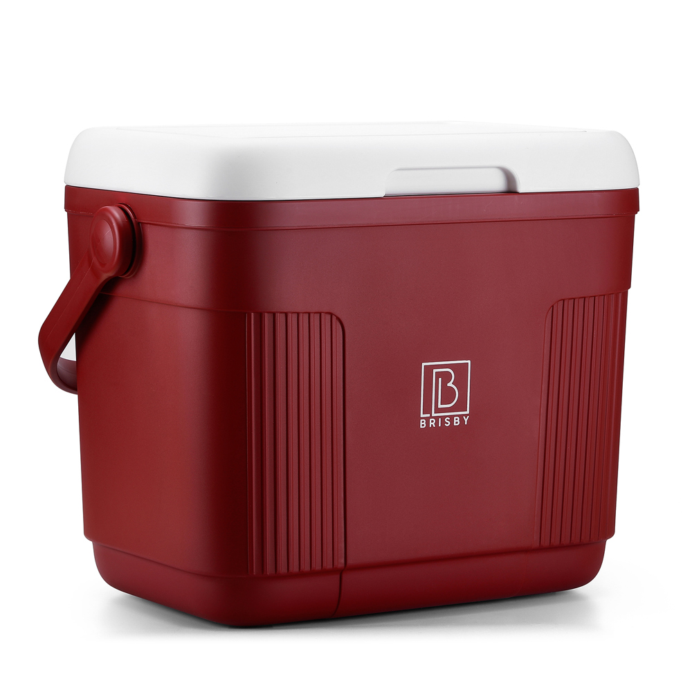 Brisby 22L Koelbox – Innovatief & Personaliseerbaar