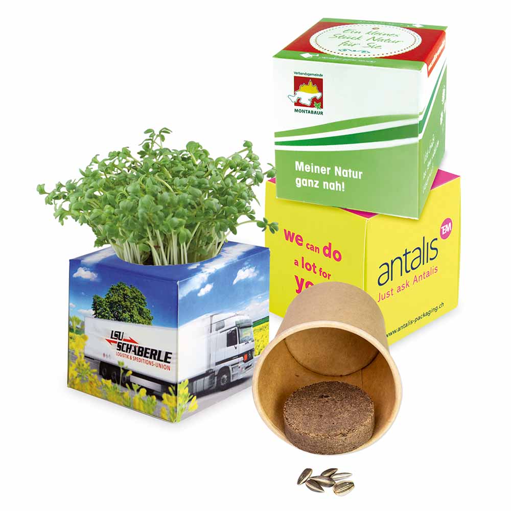 Plant-kubus 2.0 met zaden