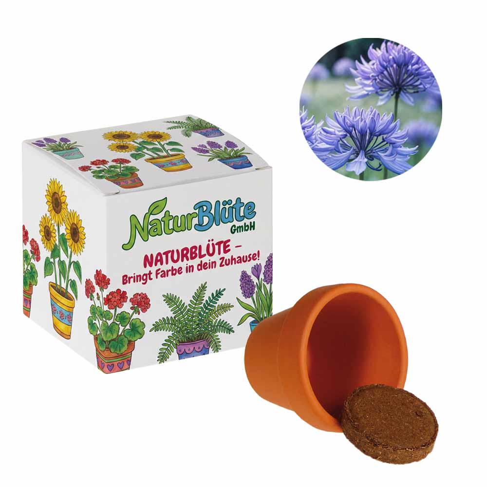 Promotionele zaadkubus (wit papier) - Korenbloem