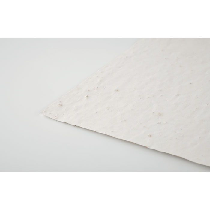 ASIDI - A4 zaadpapier wilde bloemen