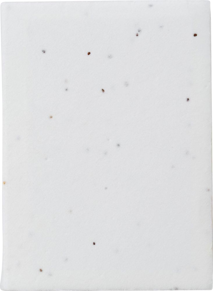 Notitieblaadjes Patricia | Zaadpapier | 6 stuks - Wit