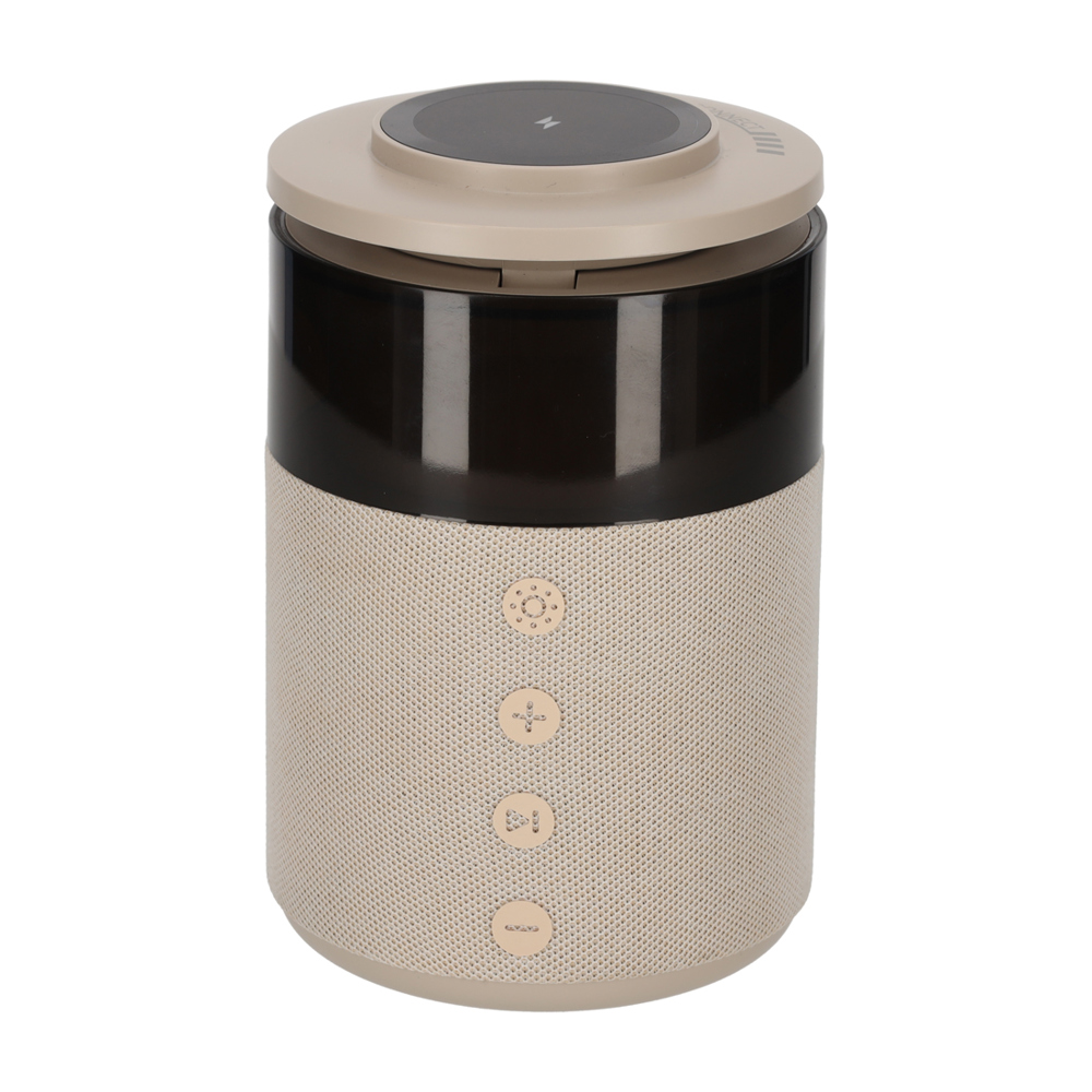 BRAINZ 5 in 1 Charging Speaker Taupe
