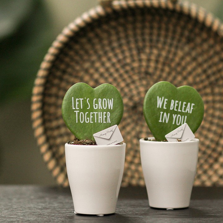 Message Printz® - Hartjesplant, Zonder verpakking