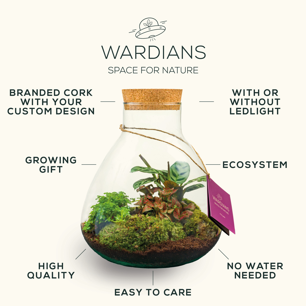 Wardians® Ecosystem - Bottle small, Zonder verpakking