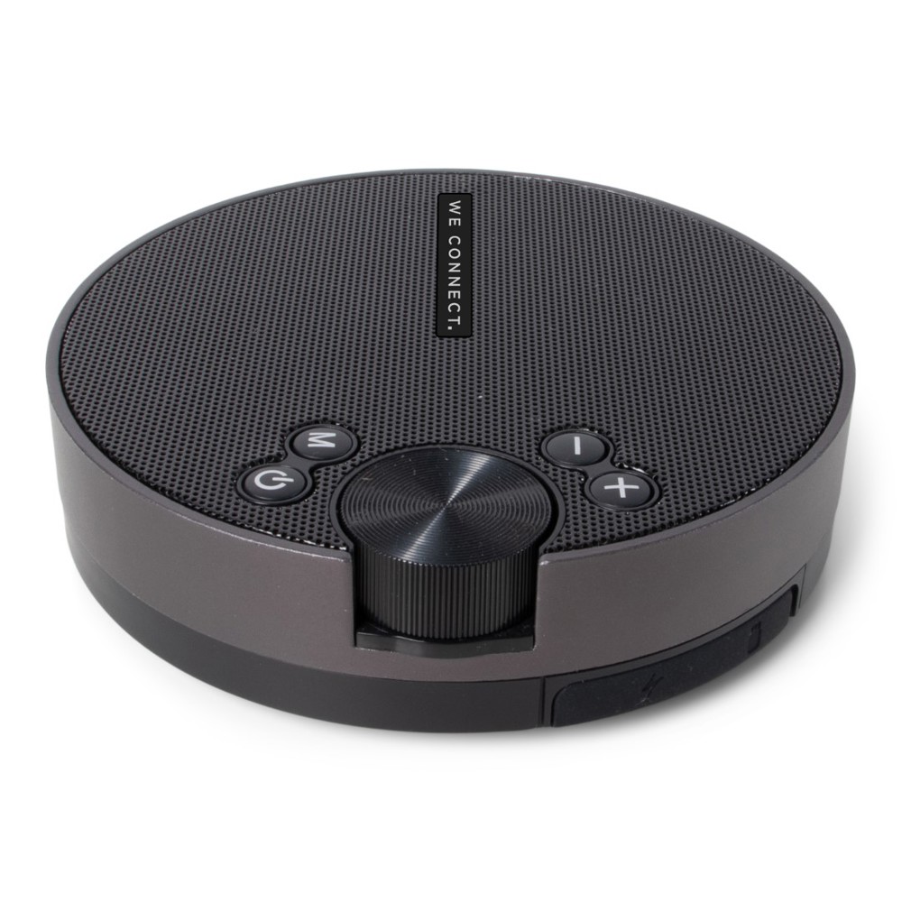 BRAINZ Disk Speaker Black