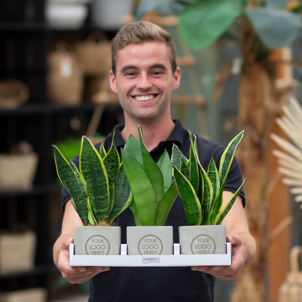 Congreet® plantpots large, Zonder verpakking