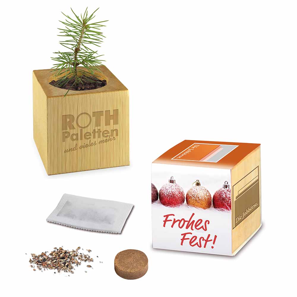 Houten plantenset Kerstmis