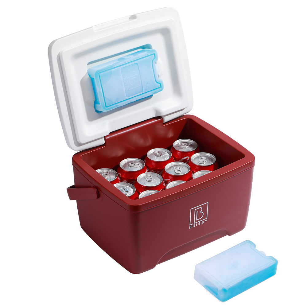 Koelbox 8L Brisby Uniek Persoonlijk en Cool - Rood