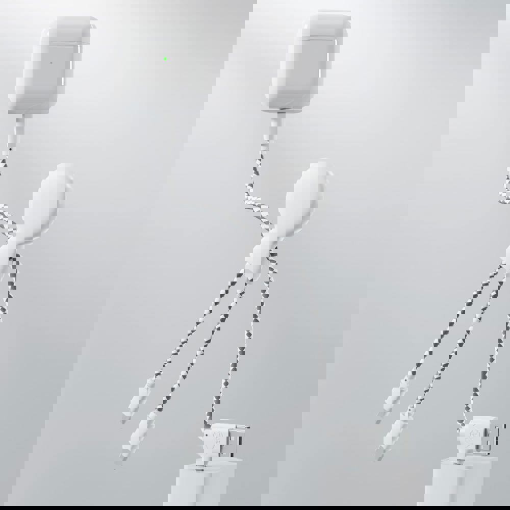 2081 | Xoopar Mr. Bio Charging cable